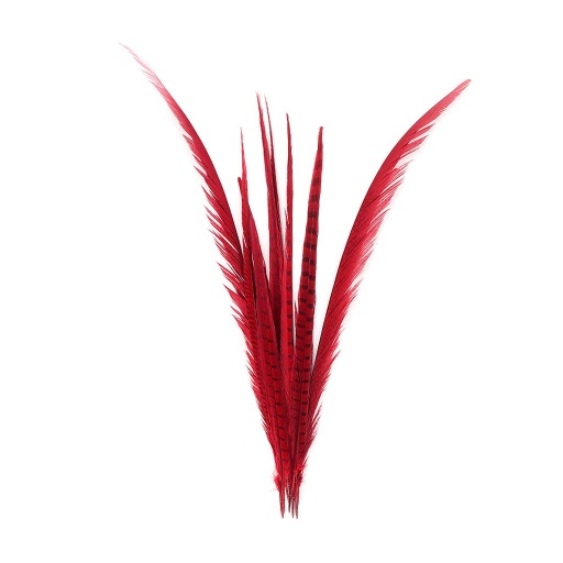 [B574B-10--R] PH TL BLCH-NAT 16-30-inch- 10PC-PKG RED