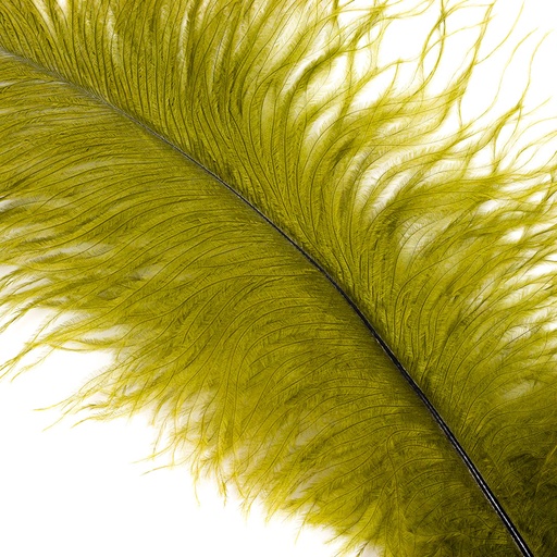 [B806--OL] Ostrich Plumes Selected 17 inch & UP   1PC PKG --Olive