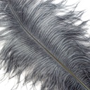 Gun Metal Grey