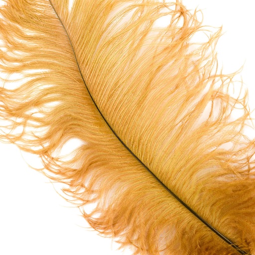 [B806--TA] Ostrich Plumes Selected 17 inch & UP   1PC PKG --Toasted Almond