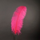 Pink Orient